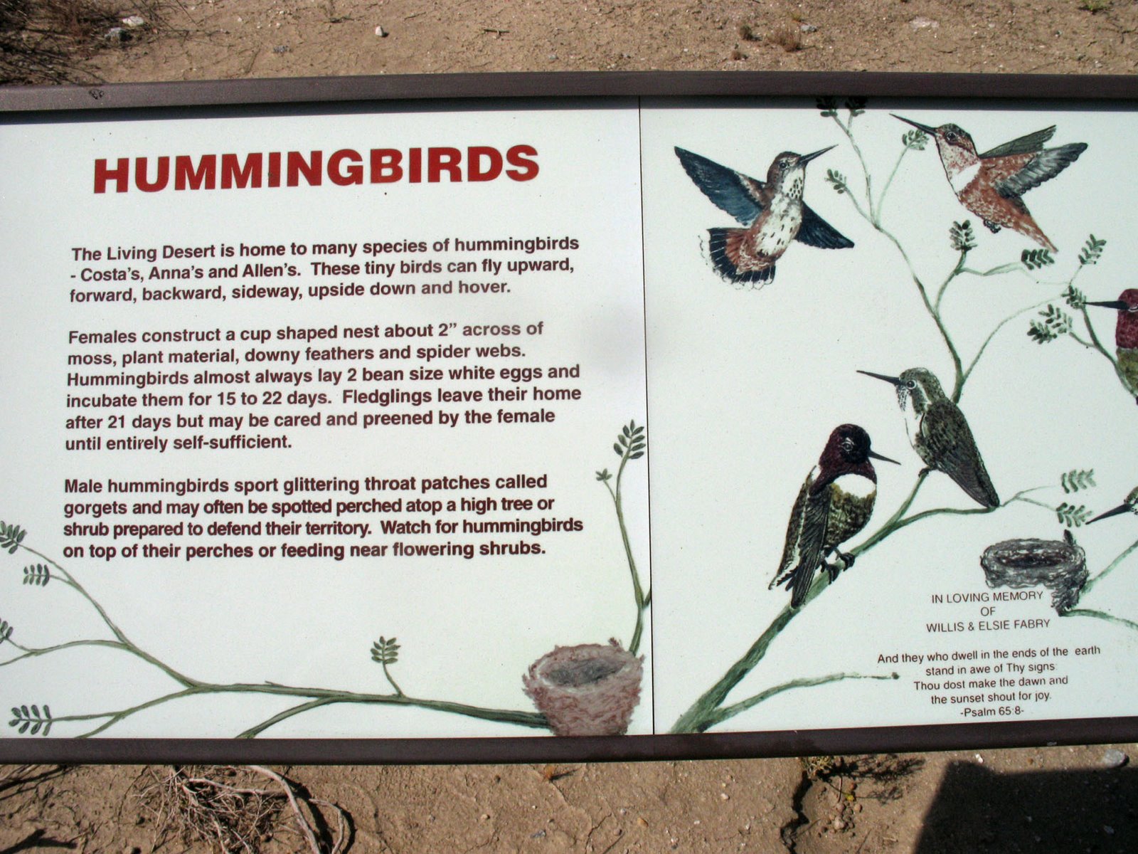 [Hummingbird+sign.jpg]