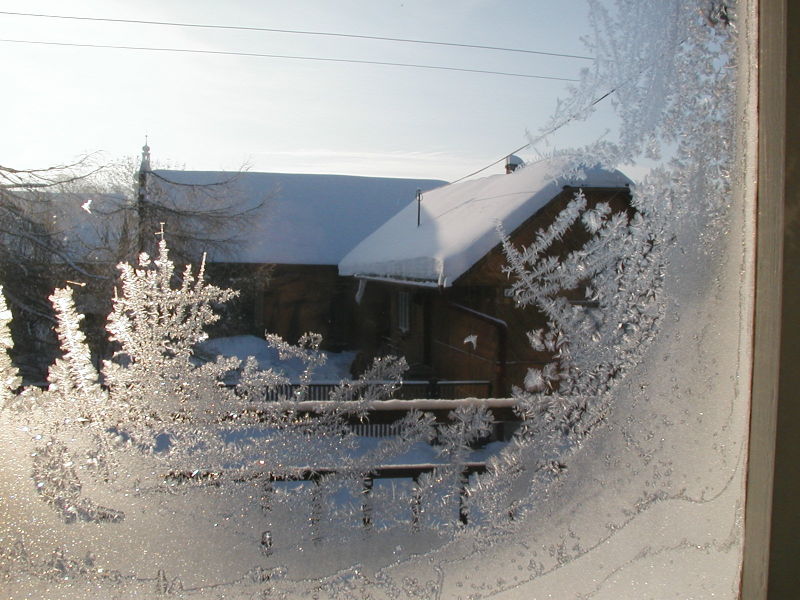 [Window-frost.jpg]