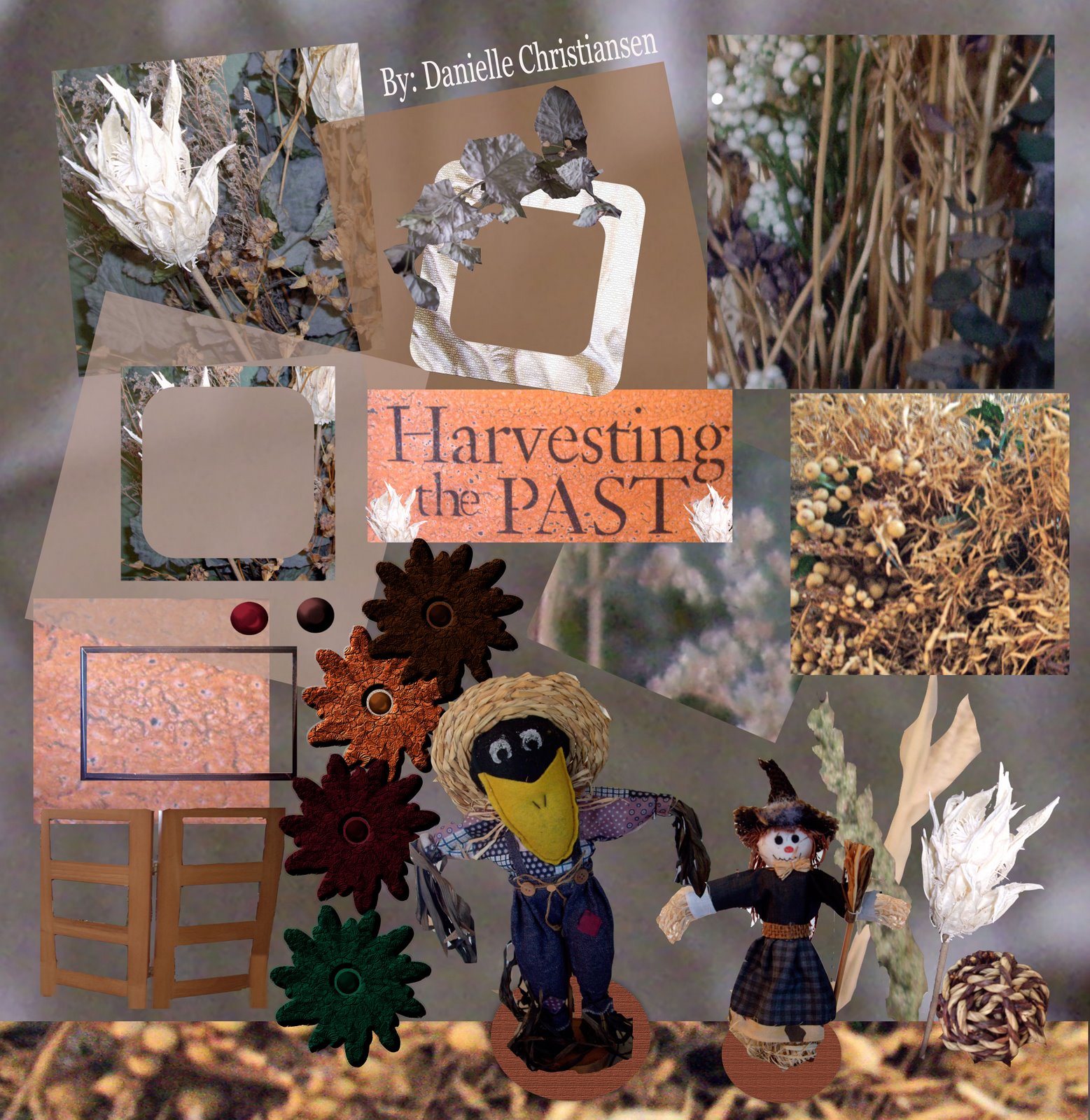 [harvesting+kit.jpg]