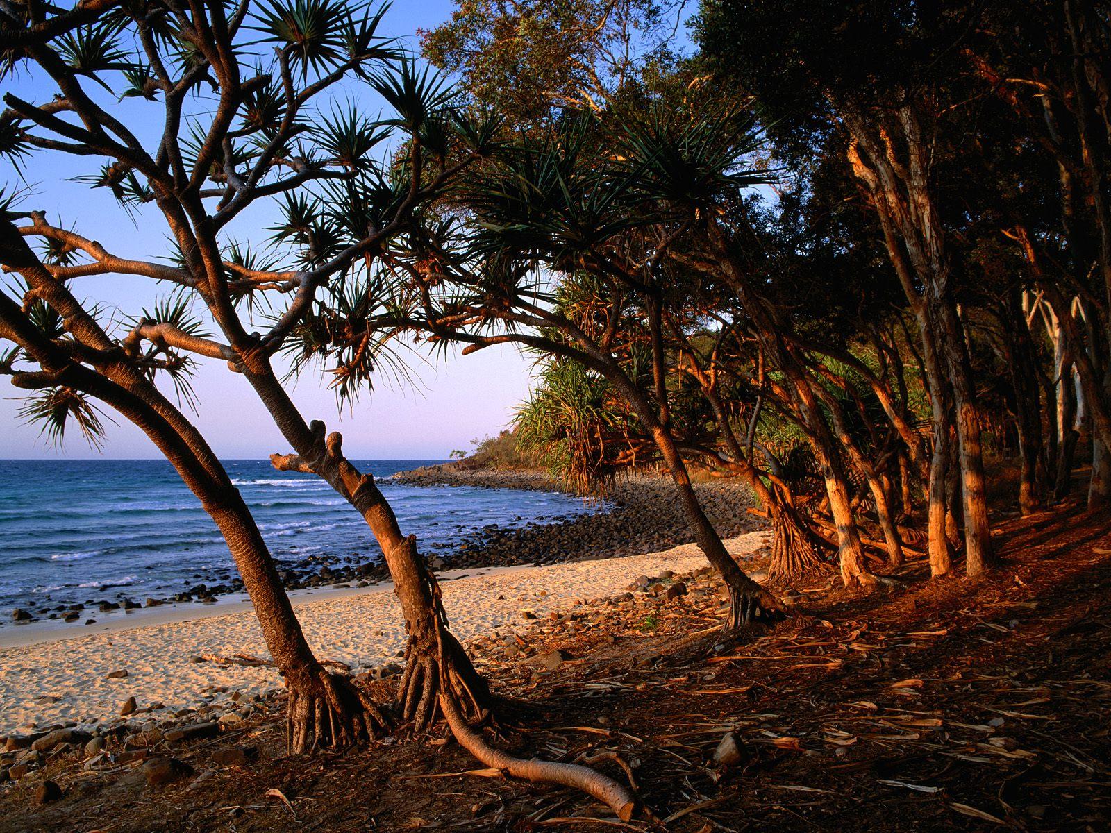[Tea+Tree+Beach,+Noosa+National+Park,+Queensland,+Australia.jpg]