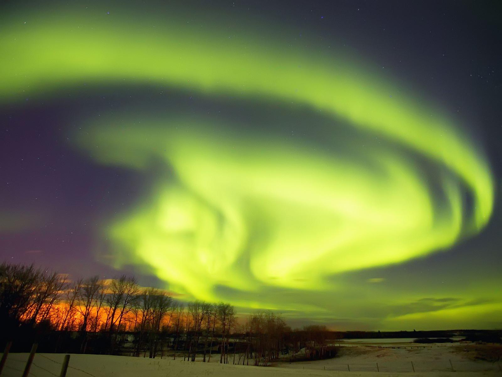 [Northern+Lights+in+Winter,+Alberta,+Canada.jpg]