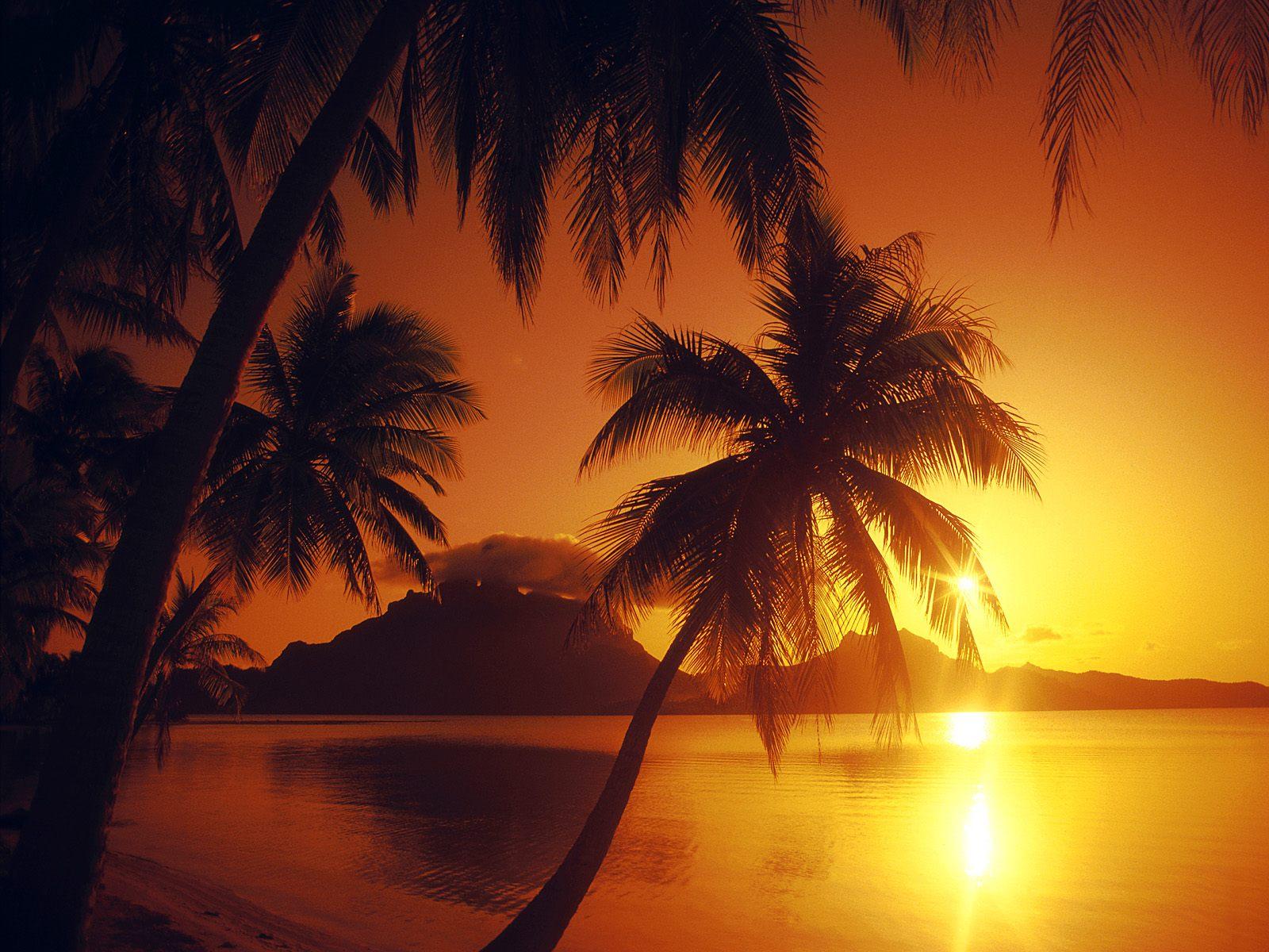[Polynesian+Sunset,+Bora+Bora.jpg]