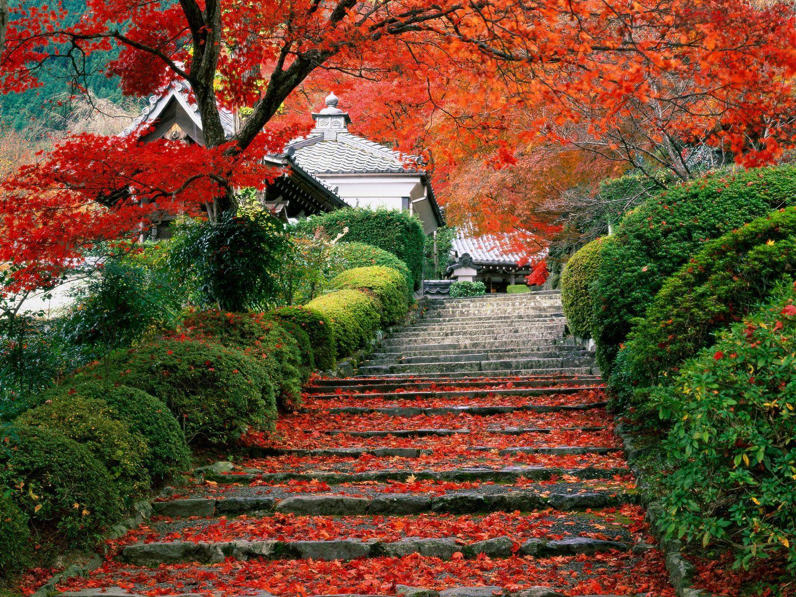 [Garden+Staircase,+Kyoto,+Japan.jpg]