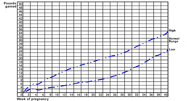 [weight_chart.gif]