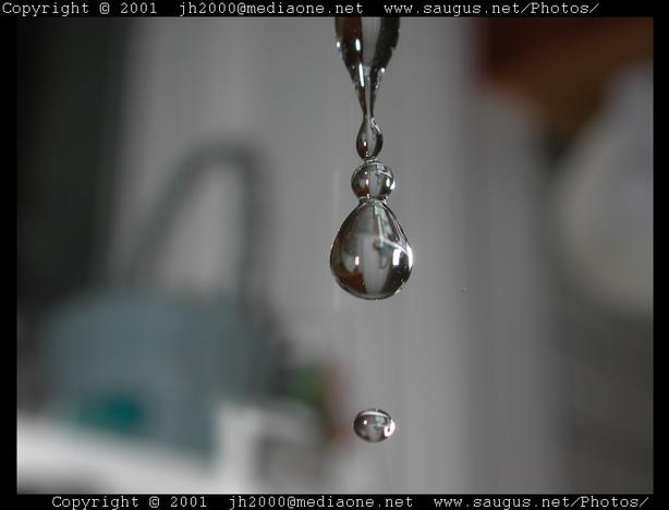 [drops+of+water.jpg]