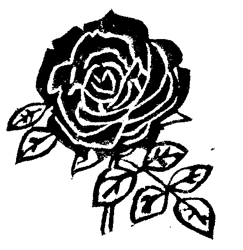 [rose2.jpg]
