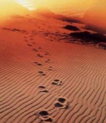 [footprints2.jpg]