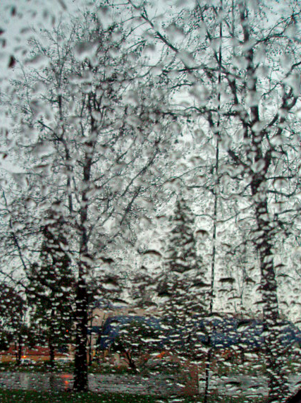 [rain+through+car+window.jpg]