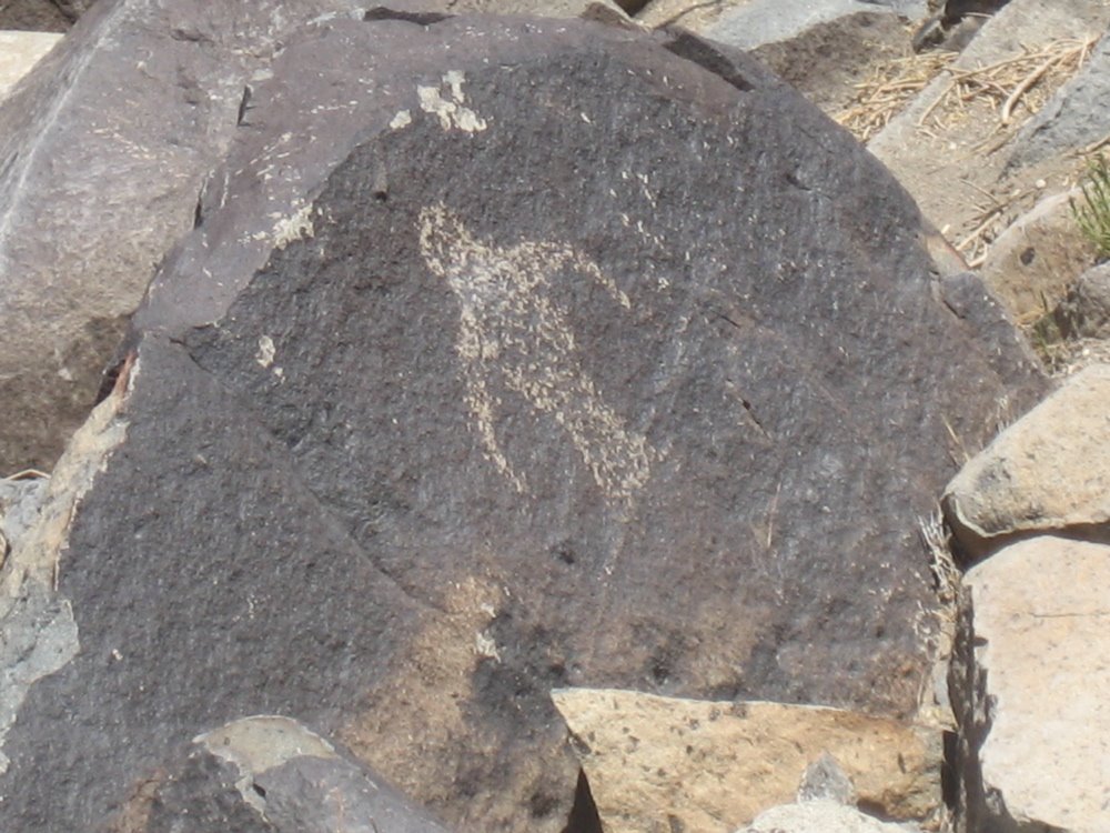 [Three+Rivers+Petroglyph+Bird+2.jpg]