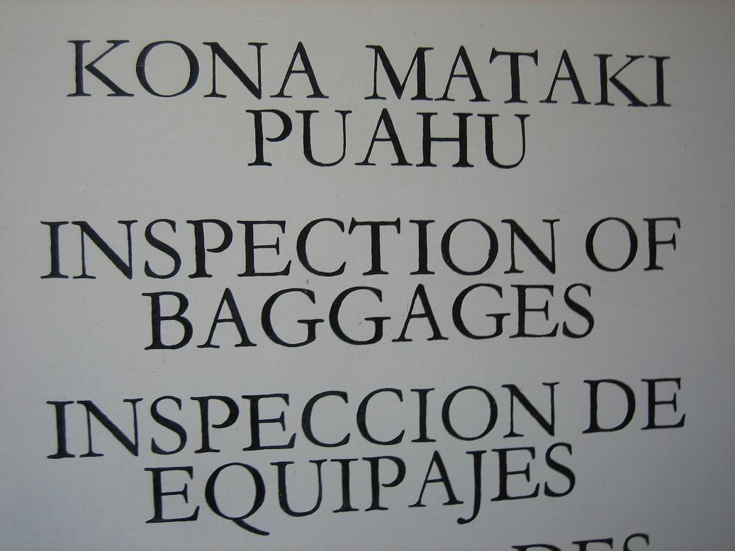 [bagage+inspectie.jpg]