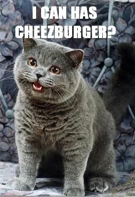 [i-can-has-cheezburger.jpg]