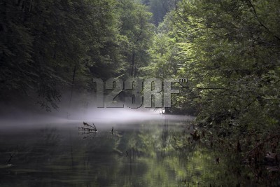 [fog+on+creek.jpg]