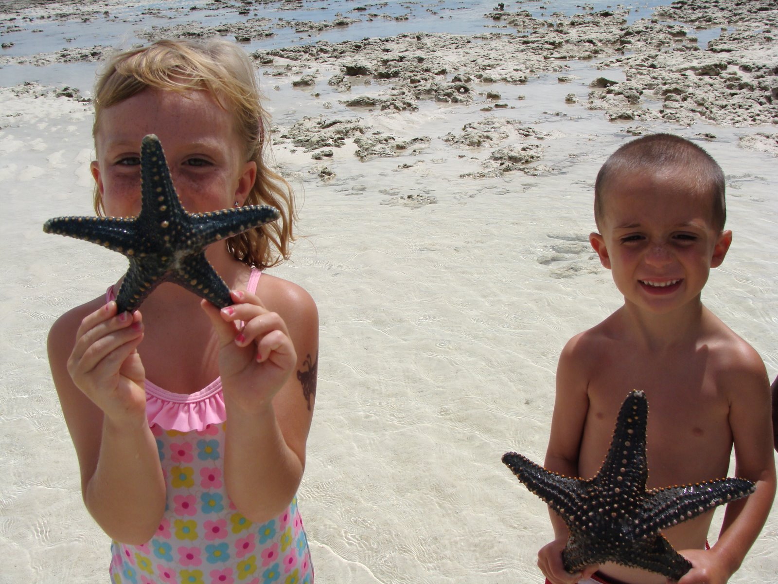 [kids+starfish.JPG]