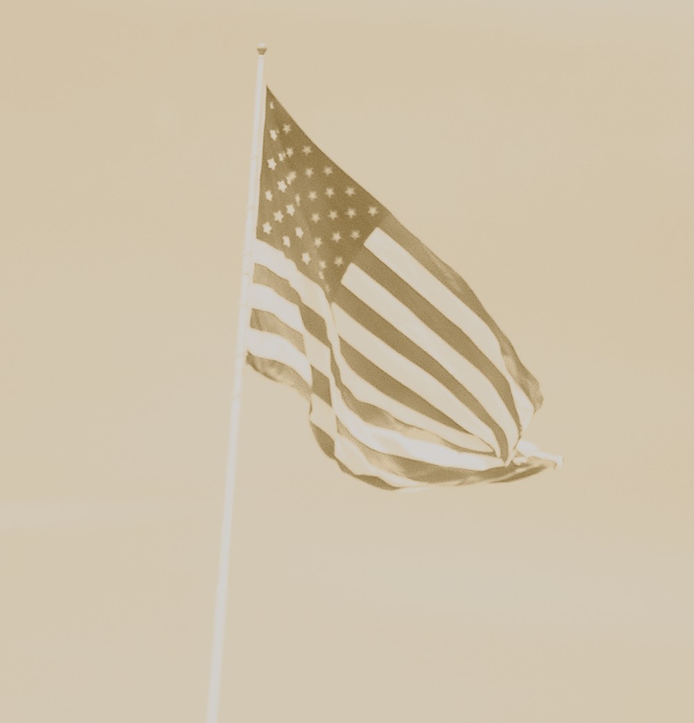 Flag in Sepia