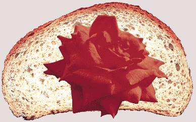 [bread-roses.jpg]