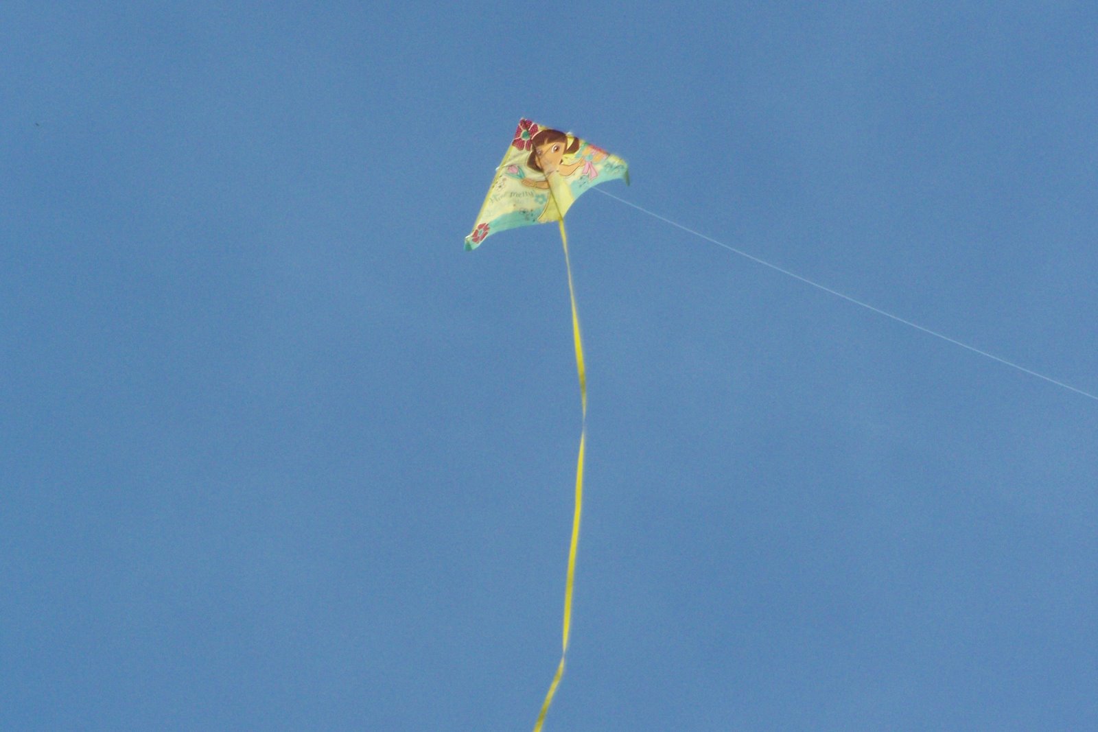 [flying+kites+009.jpg]