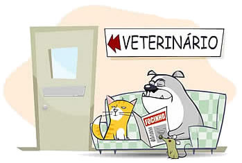 [veterinario2.jpg]