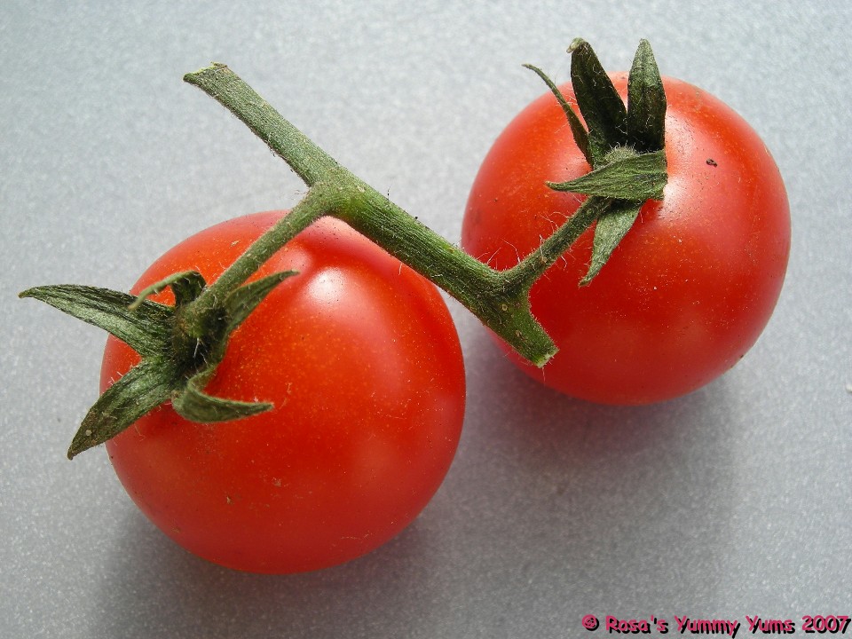 [Tomatoes+1.jpg]