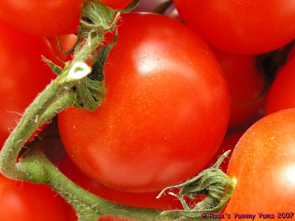 [Tomatoes+2.jpg]