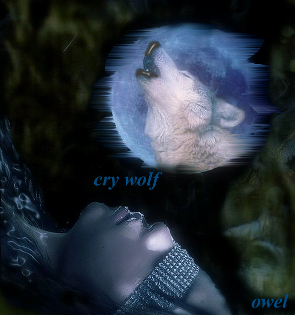 [cry_wolf_by_owel.jpg]