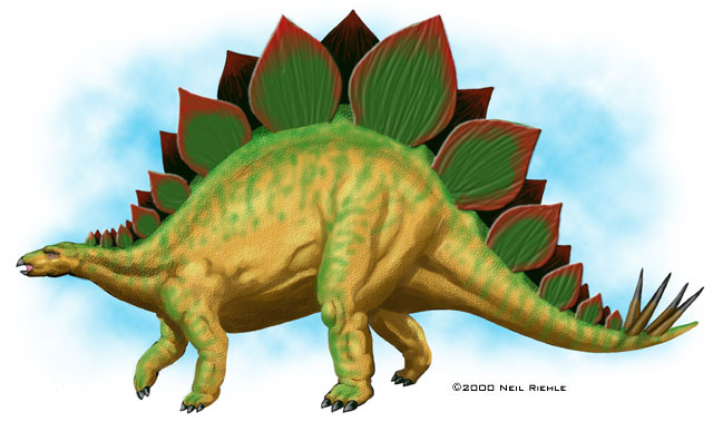 [stegosaurus.jpg]