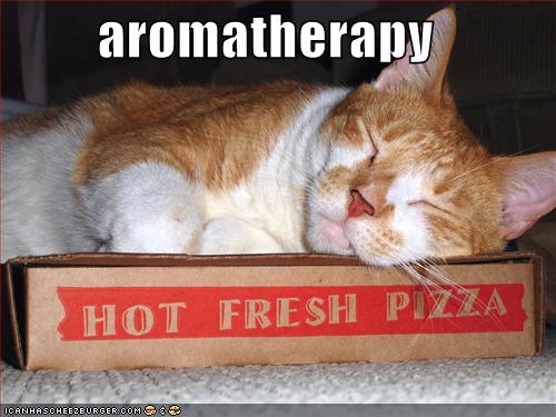 [funny-pictures-cat-pizza-aromatherapy.jpg]