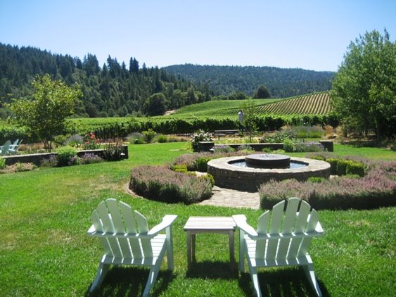 [Boonville_wine_country-california-vineyards-view.jpg]