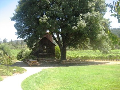 [Boonville_wine_country-california-happy-place-tree.jpg]