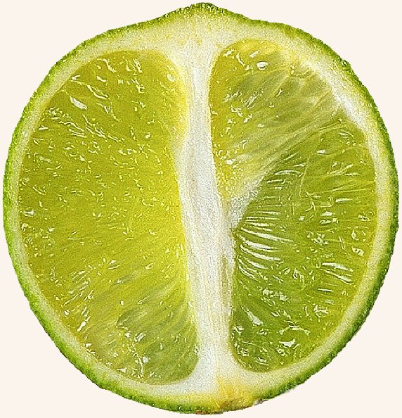 [limão.jpg]