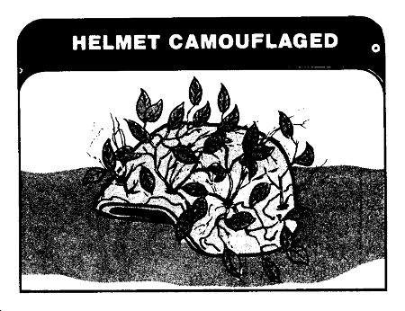 [helmet.camouflaged.gif]