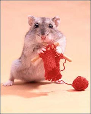 [37727968_knitting_mouse[1].JPG]