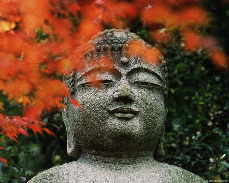 [buddha_autumn.jpg]