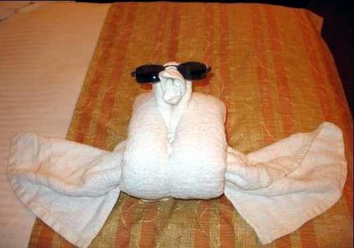 [towel-folding-bird.jpg]