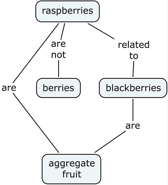 [Raspberries+-+what+are+raspberries.jpg]