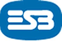 [ESB+logo.jpg]