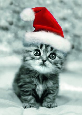 [kitten+santa.jpg]