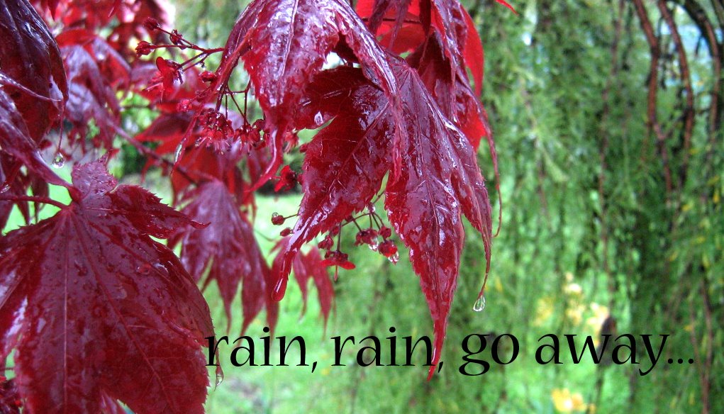 [rain+rain+go+away.jpg]