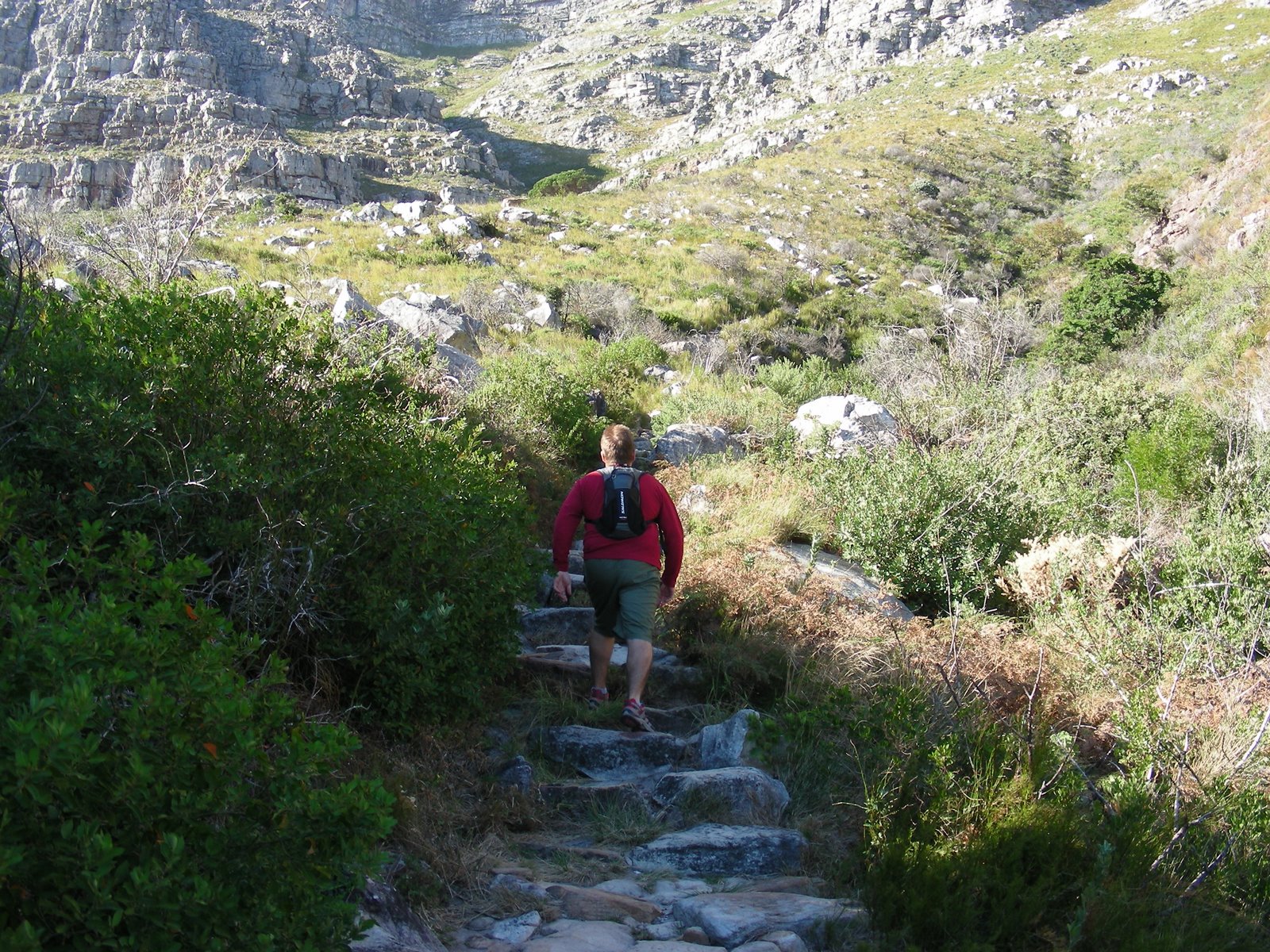 [10+Initial+Climb+with+Fynbos+vegetation.JPG]