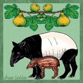 [c-tapirs-cherielle.jpg]