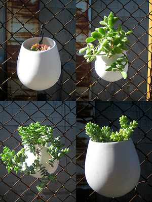 hanging pot planter