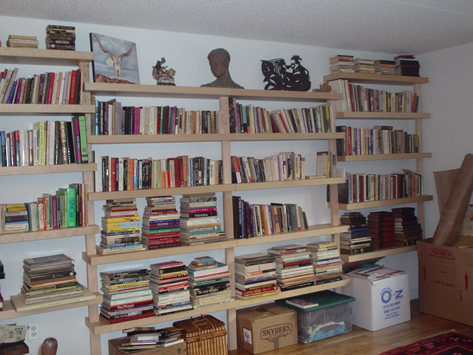 [shelves.jpg]