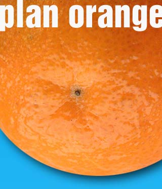 [orange.jpg]