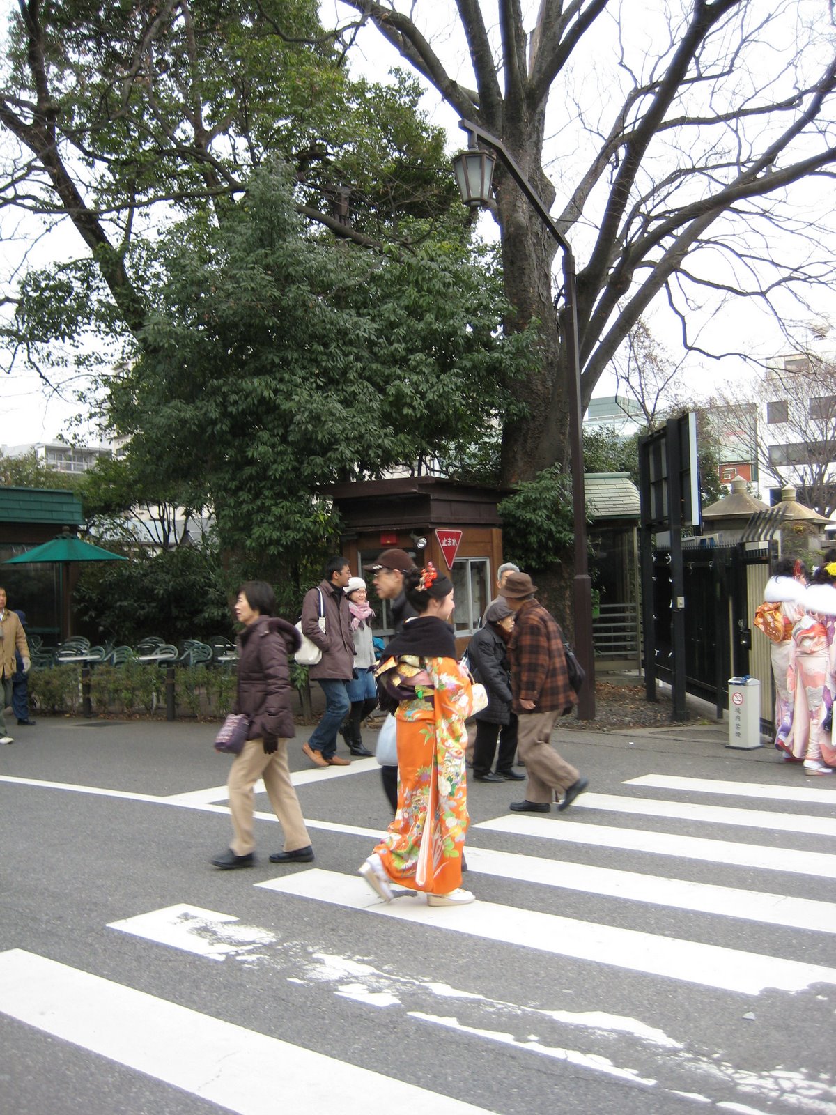 [shrine_kimono3.jpg]