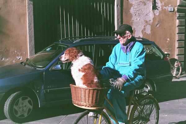 [lucca+dog+basket.jpg]