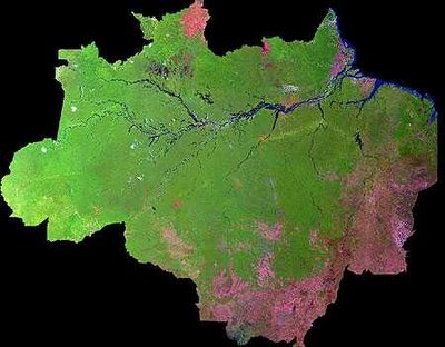 [Mapa+Amazônia+Legal.jpg]