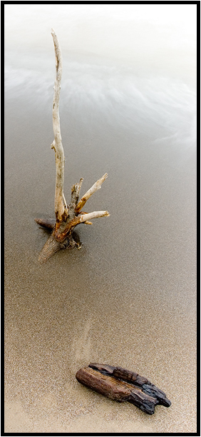 [Driftwood+On+The+Beach+-+BLOG+-+Little+Beach+-+Port+Stanley+-+DSC_8690.jpg]