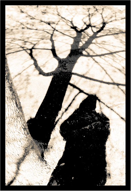 [Shadow+Man+Shaded+by+a+Shadow+Tree+-+Blog+-+DSC_9529.jpg]