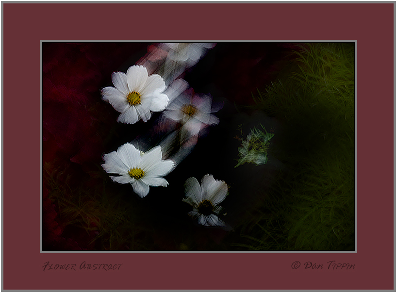 [Flower+Abstract+-+BLOG+-+640++Waterworks+Park++-+DSC_4018.jpg]