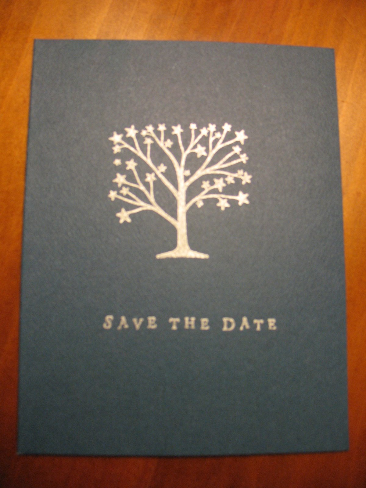 [save+the+date+card.JPG]