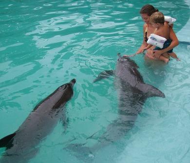 [Copy+of+Dolphins+and+Monkeys+064.jpg]